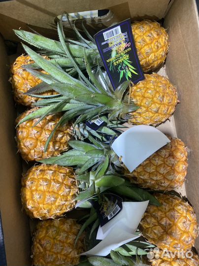 Мини Ананас 10штук