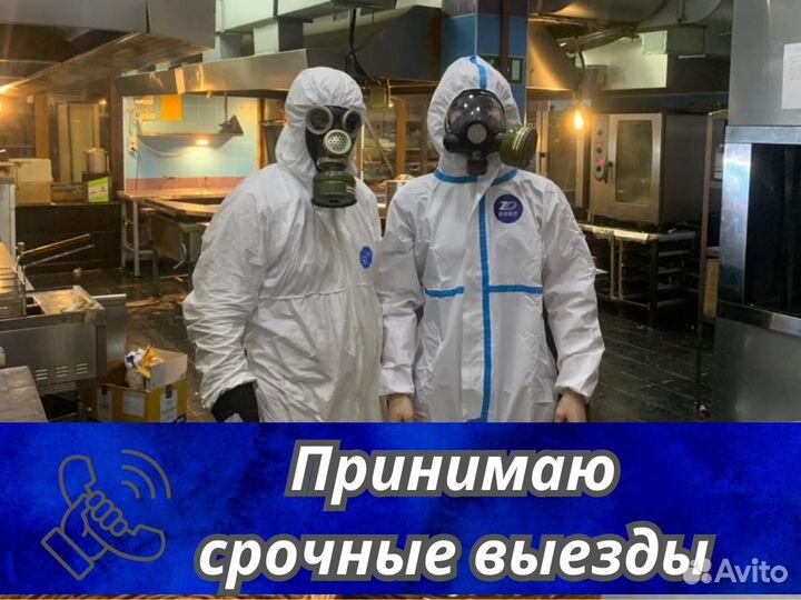 Дезинфекция Дезинсекция клопов тараканов