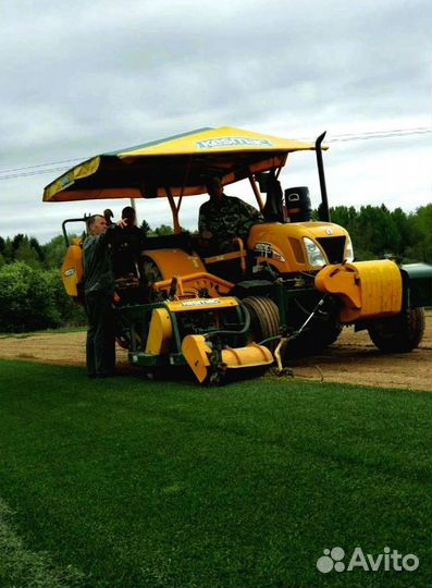 Рулонный газон 