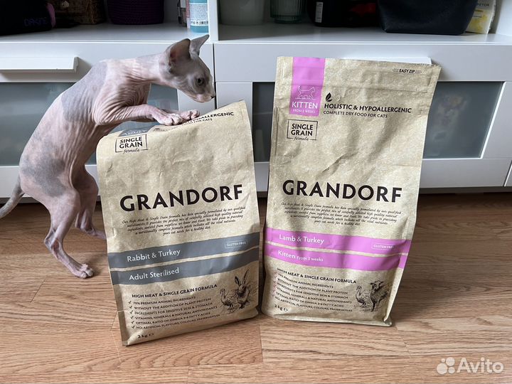 Корм для котят grandorf