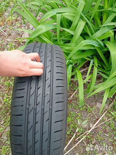 Nexen N'Blue HD Plus 195/65 R15