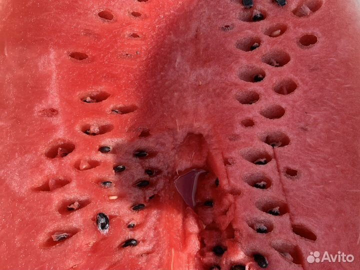 Арбузы свежие Казахстан отборные вкусные