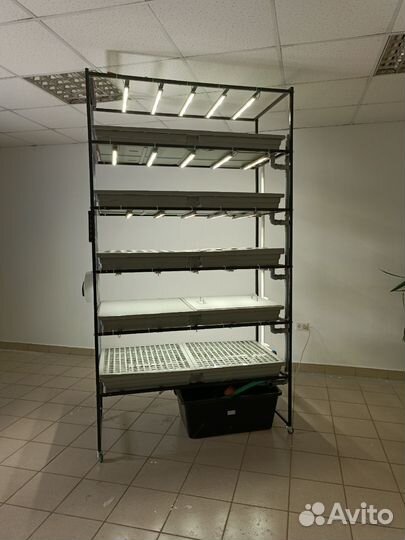 Оборудование для разных видов зелени. Автоматика