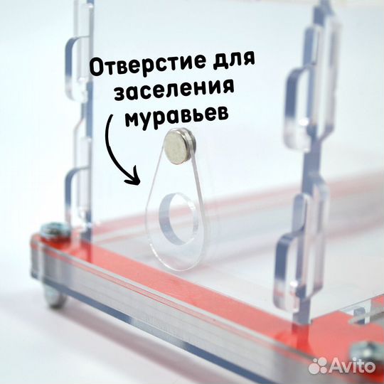 Муравьиная ферма 