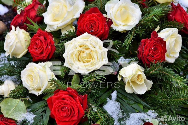 101 роза цветы букеты доставка 25 51 101 роза