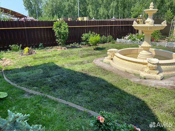 Рулонный газон «Мятлик»