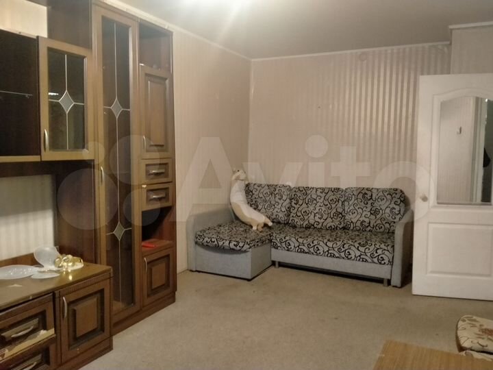 1-к. квартира, 30,3 м², 2/5 эт.