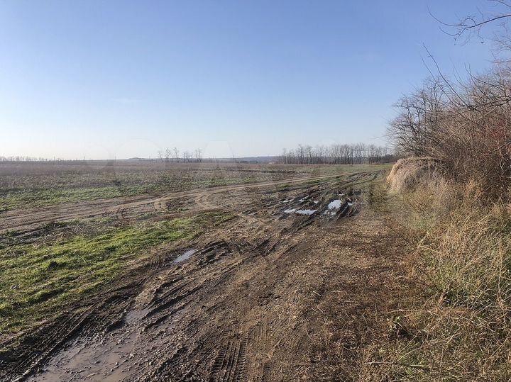 Участок 40 сот. (ИЖС)