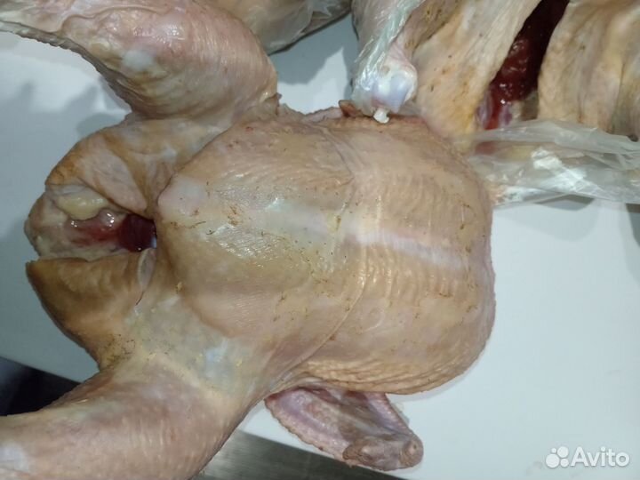 Куры домашние мясо