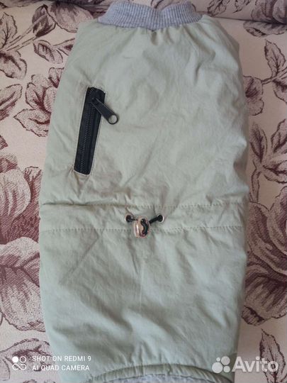 Одежда для собак