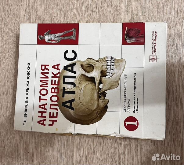 Атлас по анатомии человека