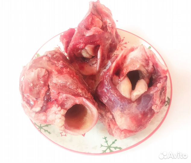 Мясо и субпродукты для собак