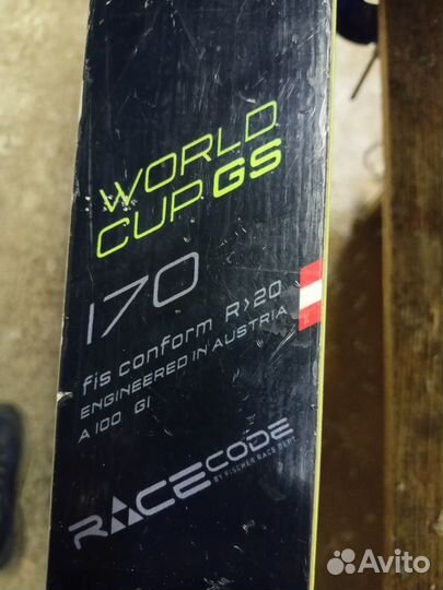 Горные лыжи Fischer RC4 Worldcup GS Jr