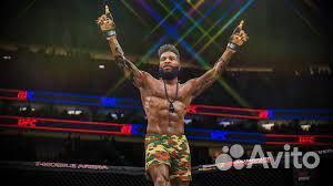 UFC 4 PS4/PS5 Чита