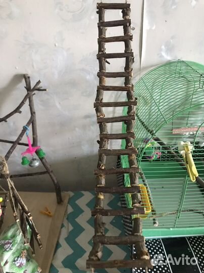 Лесенка для попугаев и грызунов