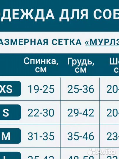 Комбинезон для собак средних пород, зимний, самец