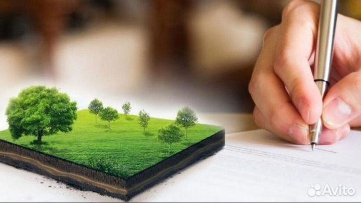 Проверка земельного участка перед покупкой