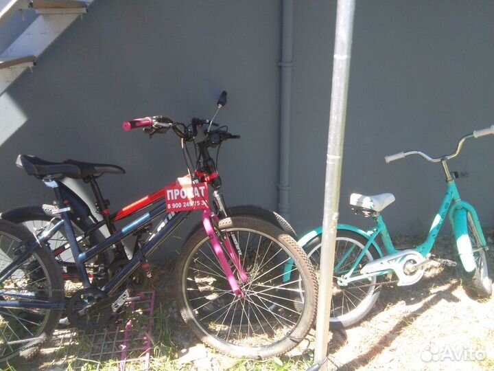 Прокат велосипедов