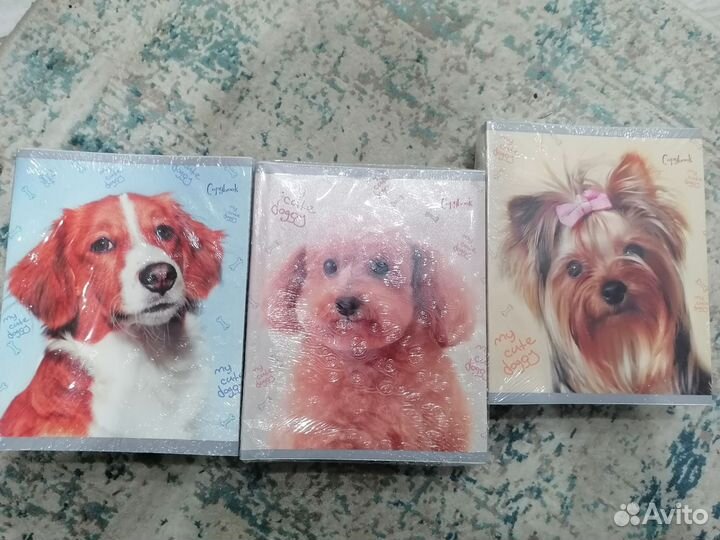 Рабочая тетрадь