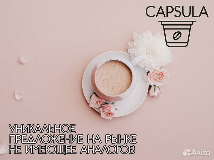 Capsula: путь к вашему бизнесу