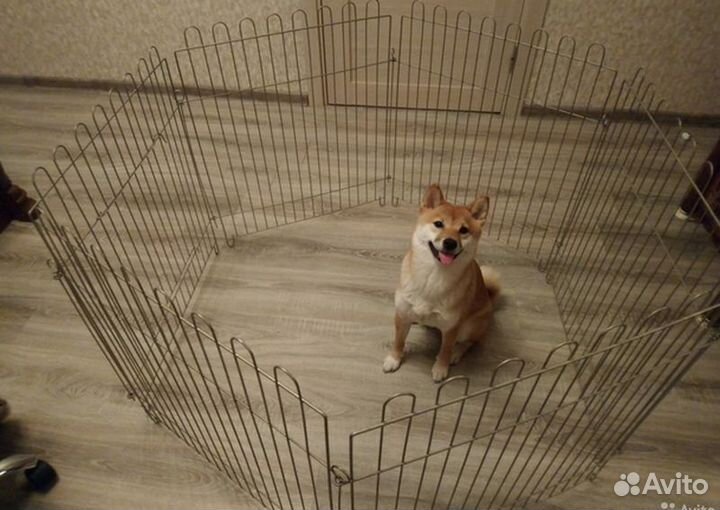 Вольер для собаки.вольер для кролика