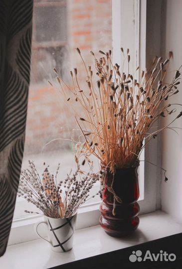 Тренер по шахматам, обучение шахматам