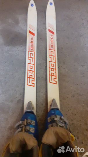 Горные лыжи Polsport 3100