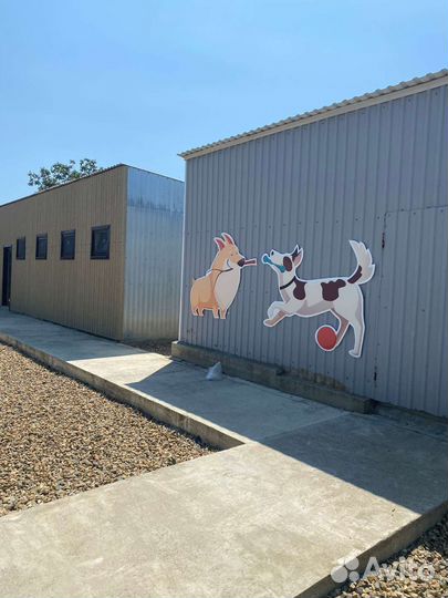 Зоогостиница/Передержка для собак/груминг