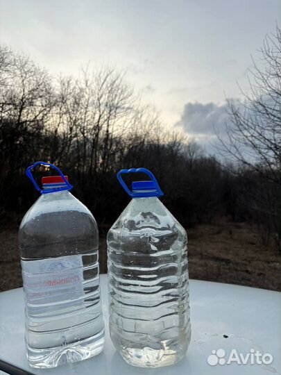 Березовый сок, кленовый сок