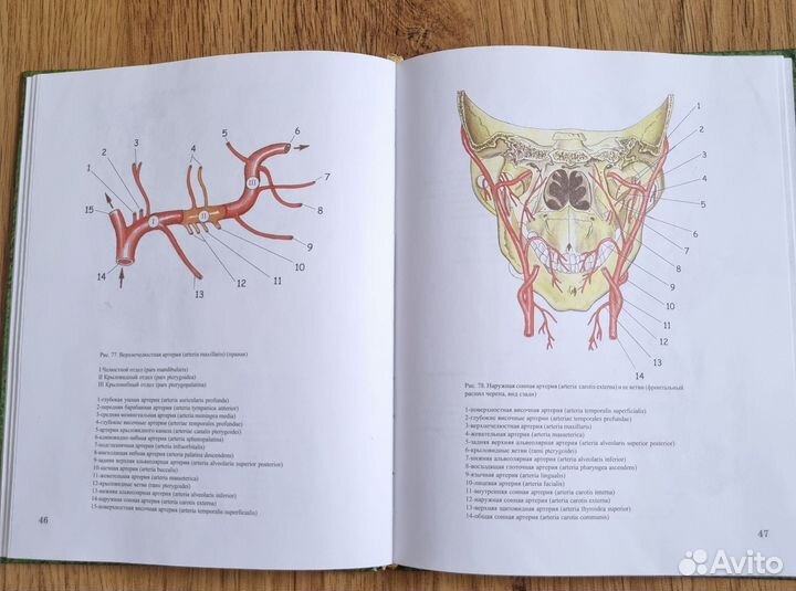 Книга,учебник по стоматологии