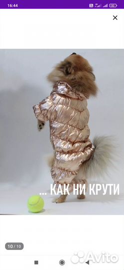 Зимний комбенизон для собак