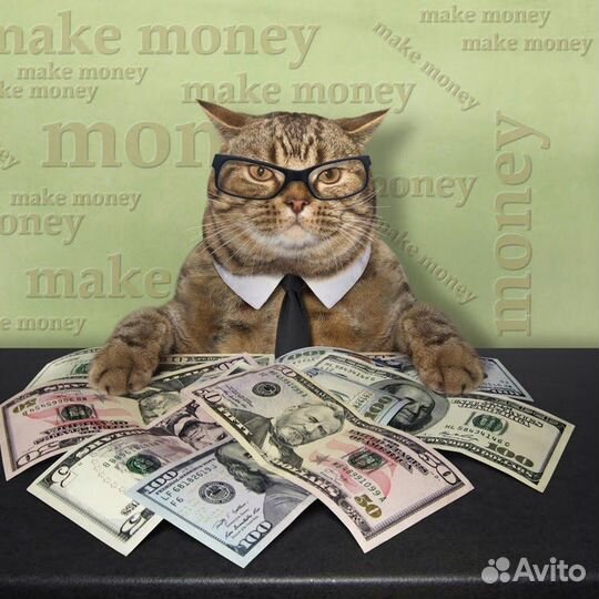 Подработка без опыта промоутер