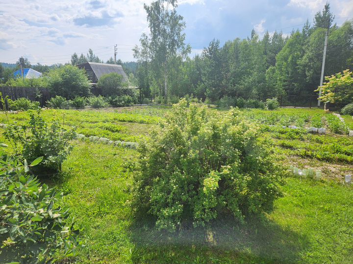 Участок 8 сот. (СНТ, ДНП)