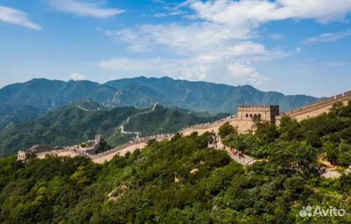 Коммерческие услуги от китайца