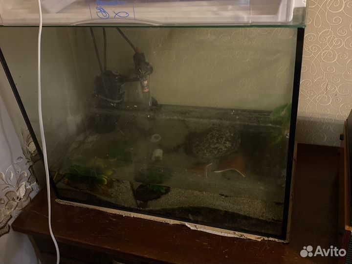 Аквариум 50х30х40