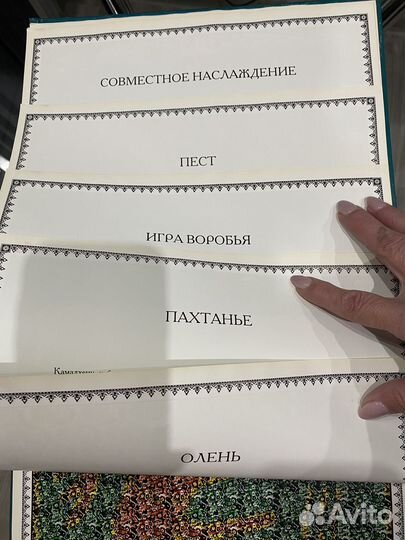 Книга камасутра