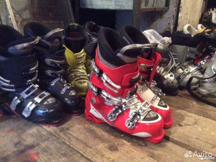 Горные лыжи