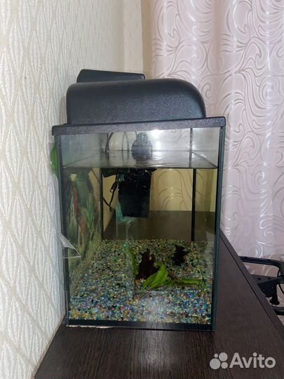 Аквариум для рыб 35 литров