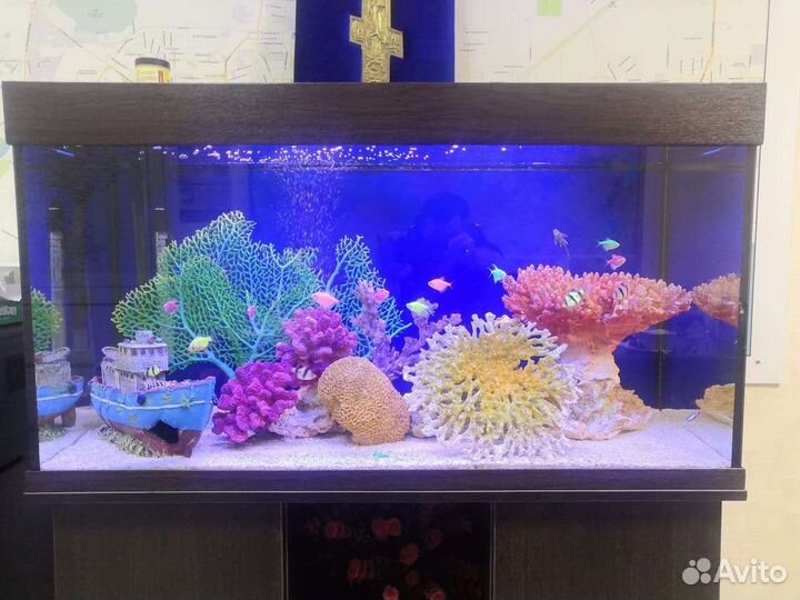 Аквариум на 500 литров