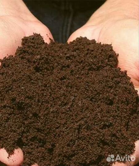 Торфогрунт