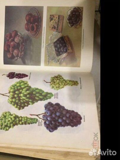 Кулинария супер книга для гурманов