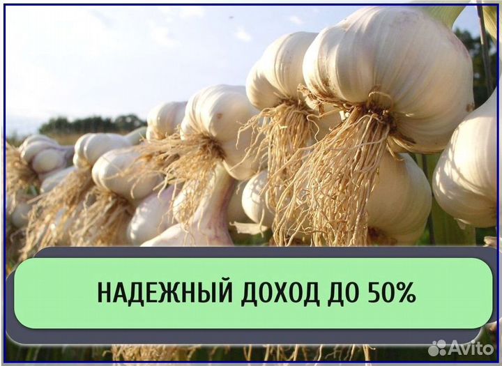 Инвестиции в готовый бизнес / Доход до 50% годовых