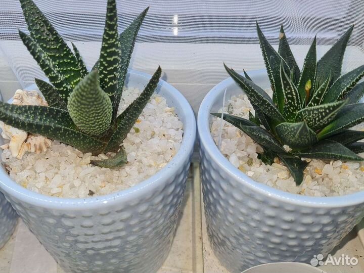 Декоративный грунт