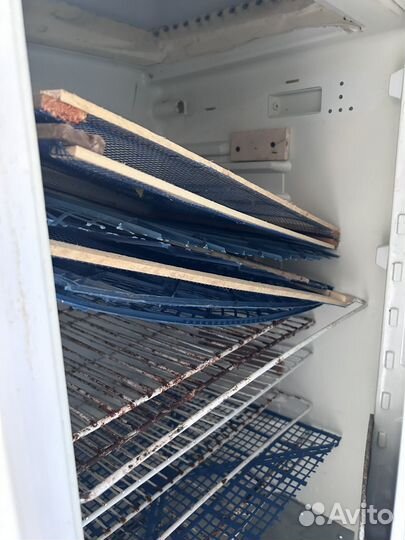 Дегидратор для овощей и фруктов