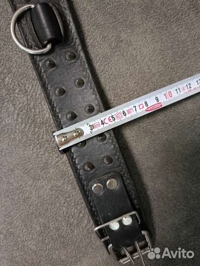 Ошейник для собак