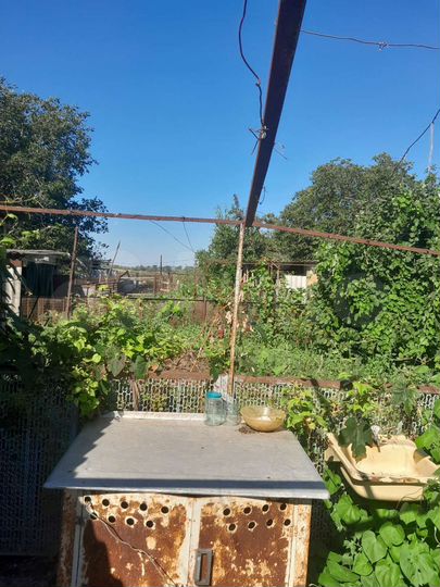 Дом 79,9 м² на участке 19 сот.