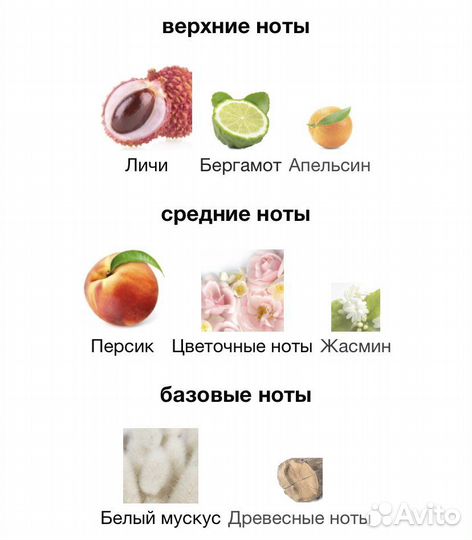 Attar collection Azora