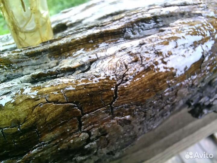 Ваза для цветов