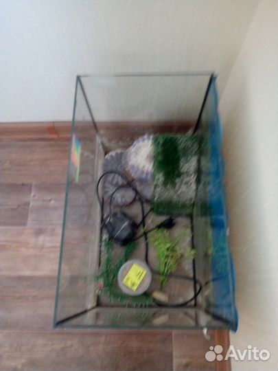 Рыбки аквариумные, аквариум