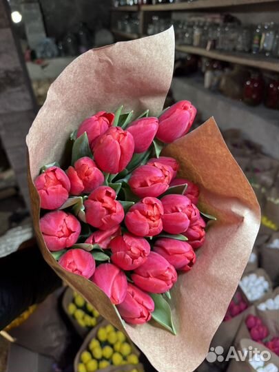 Тюльпаны опт Краснодар к 8 марта